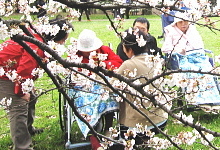 陽だまりの園